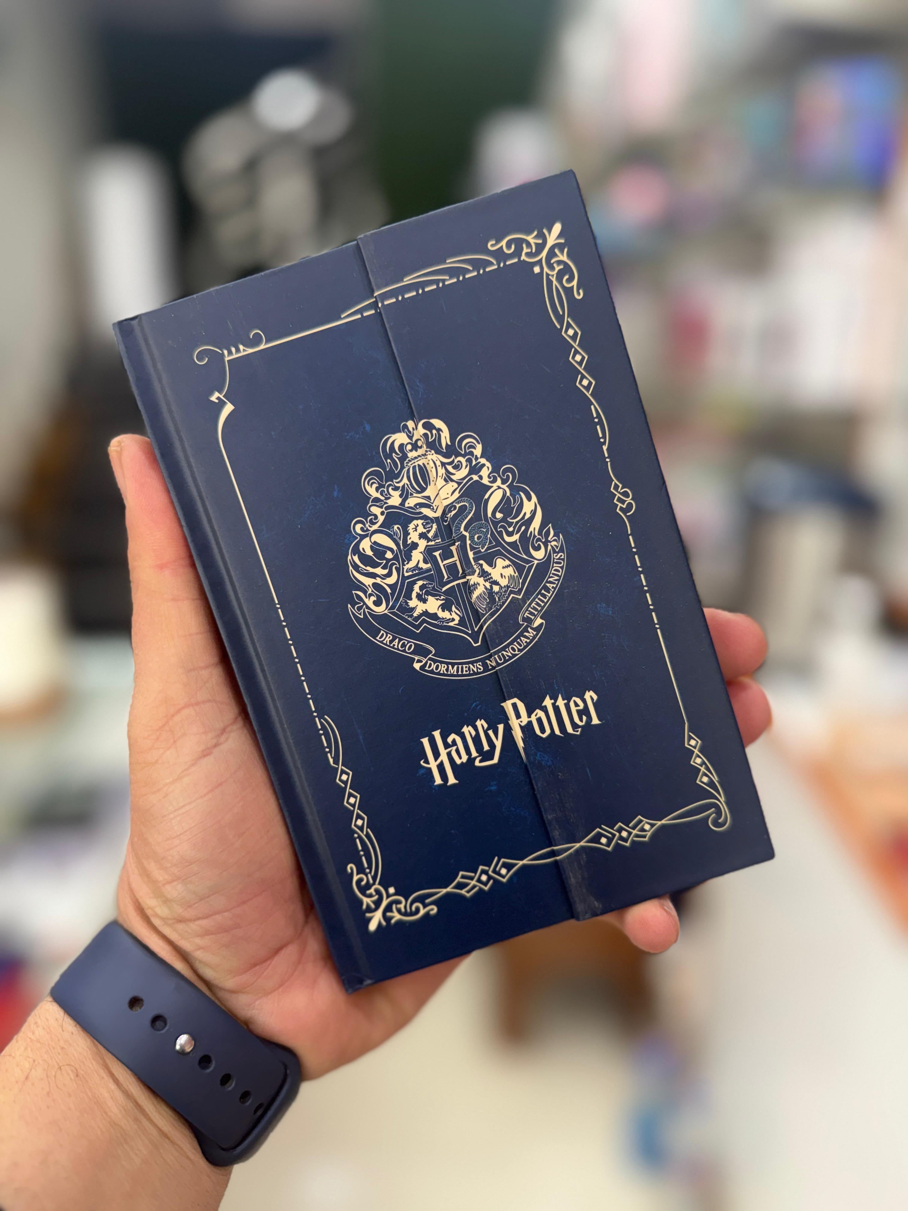 Harry potter diaries