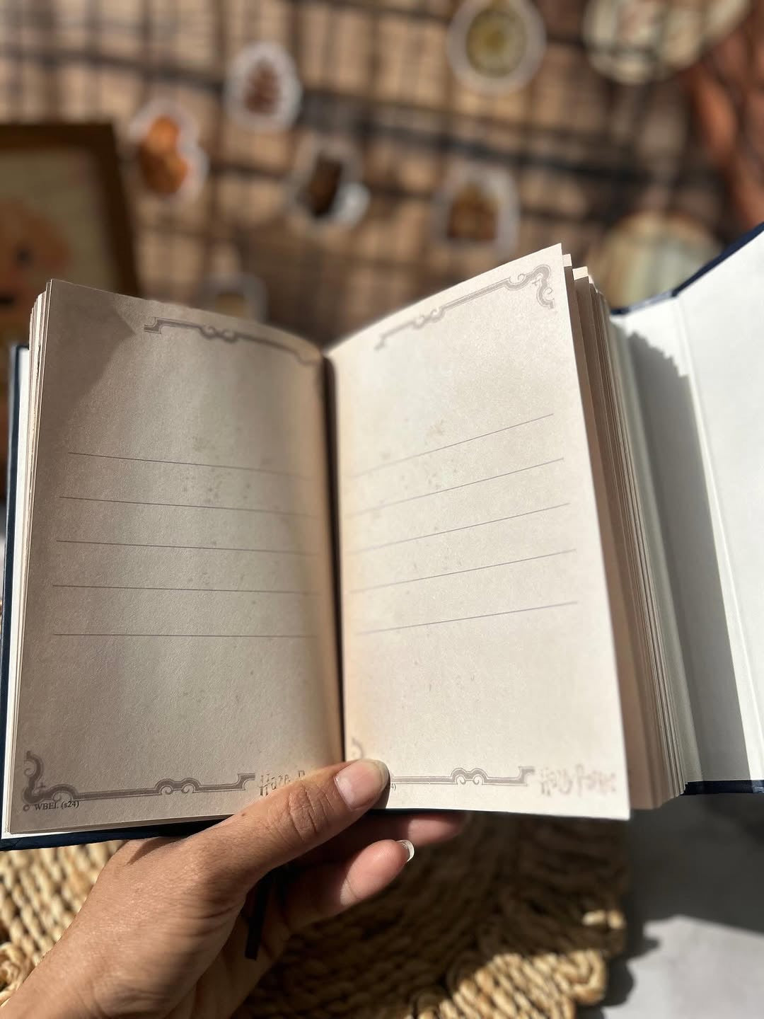 Harry potter diaries