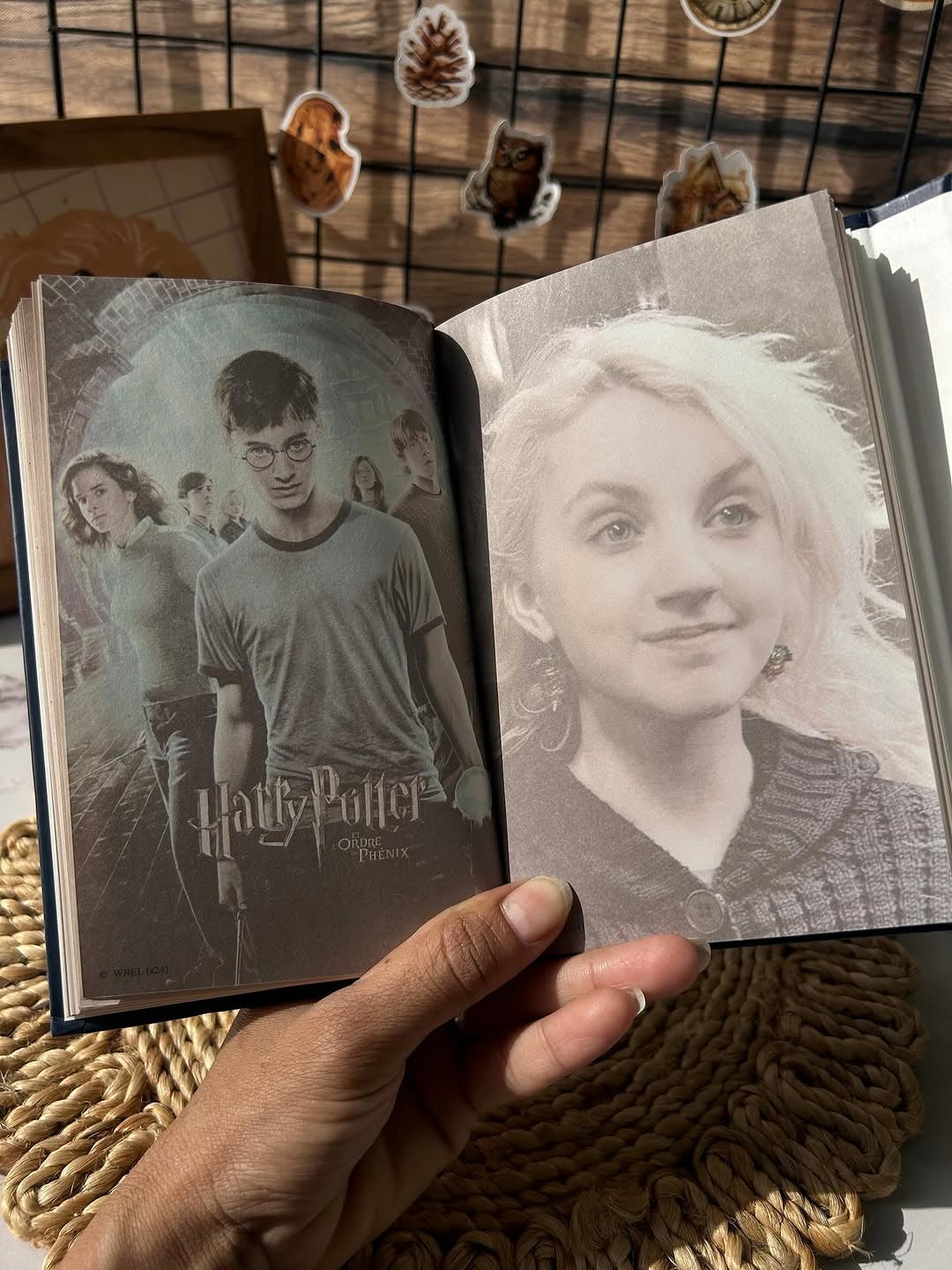Harry potter diaries