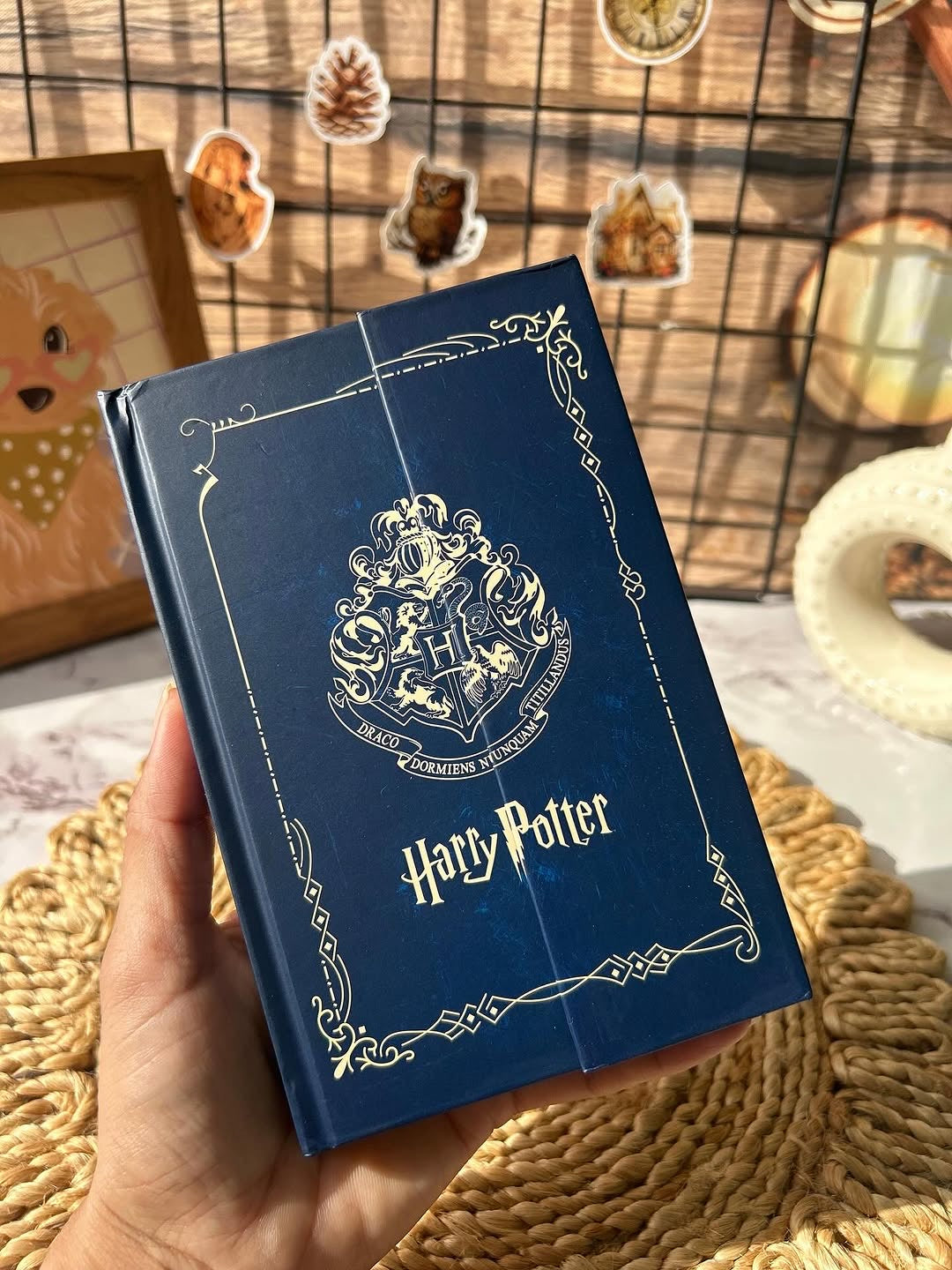 Harry potter diaries