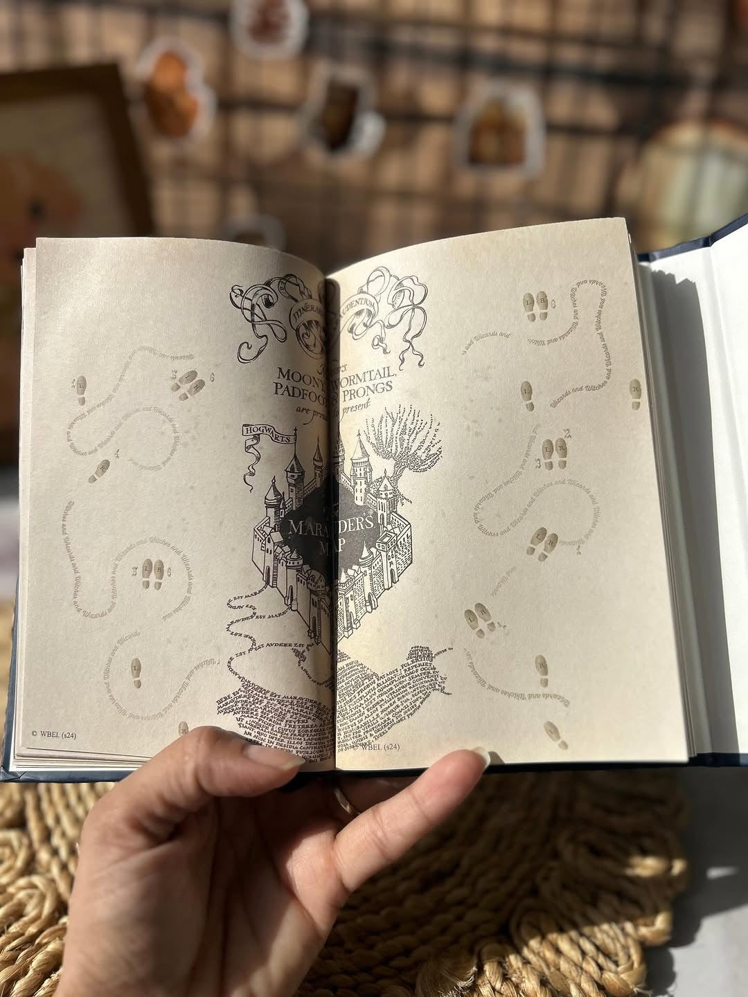 Harry potter diaries