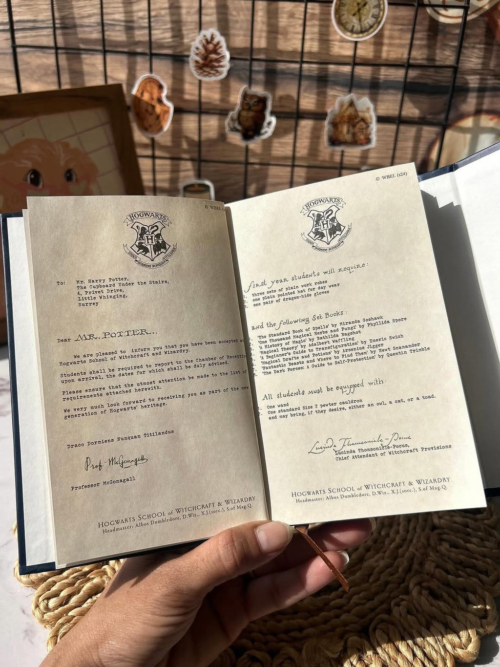 Harry potter diaries