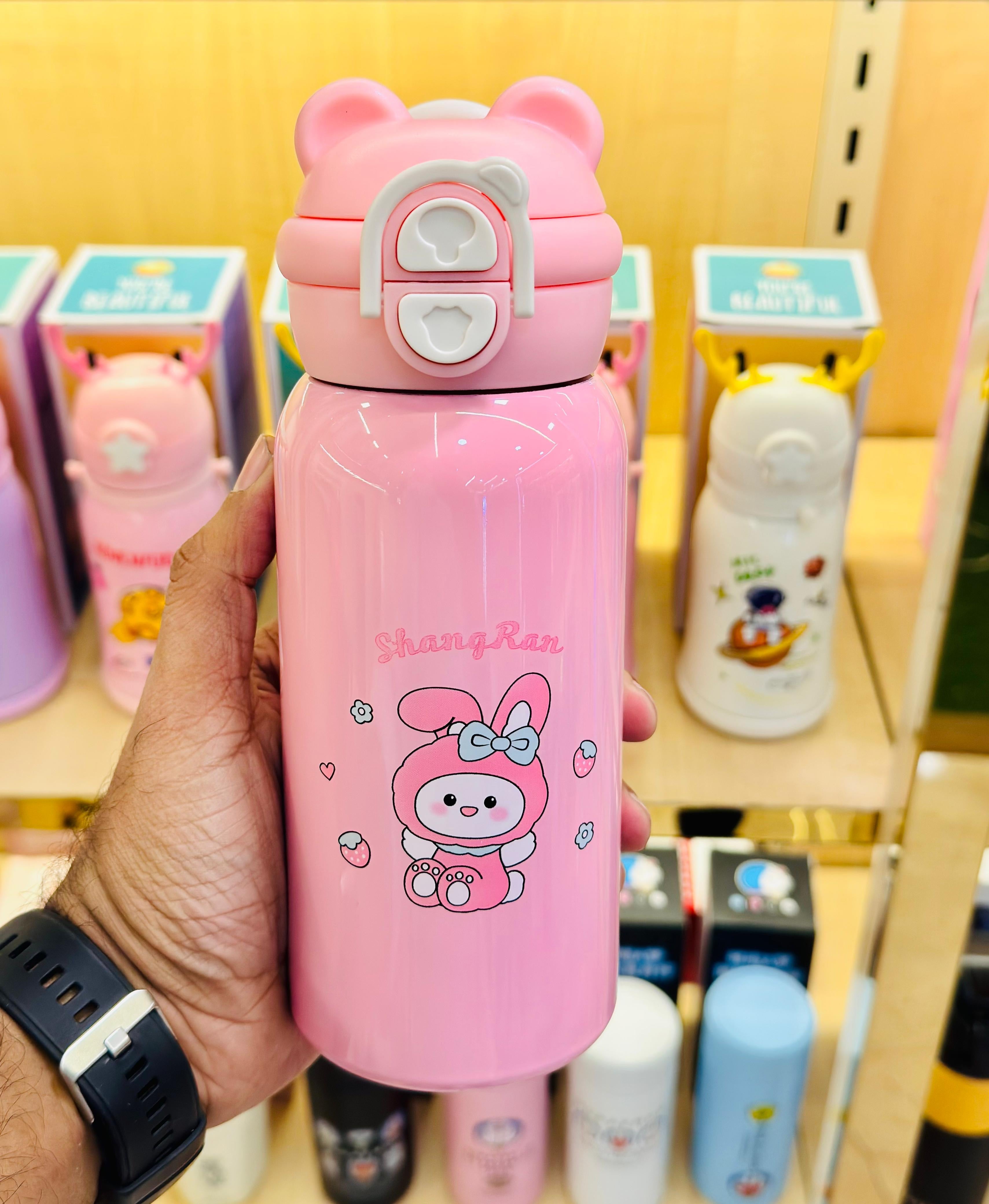 Insulated steel bottles