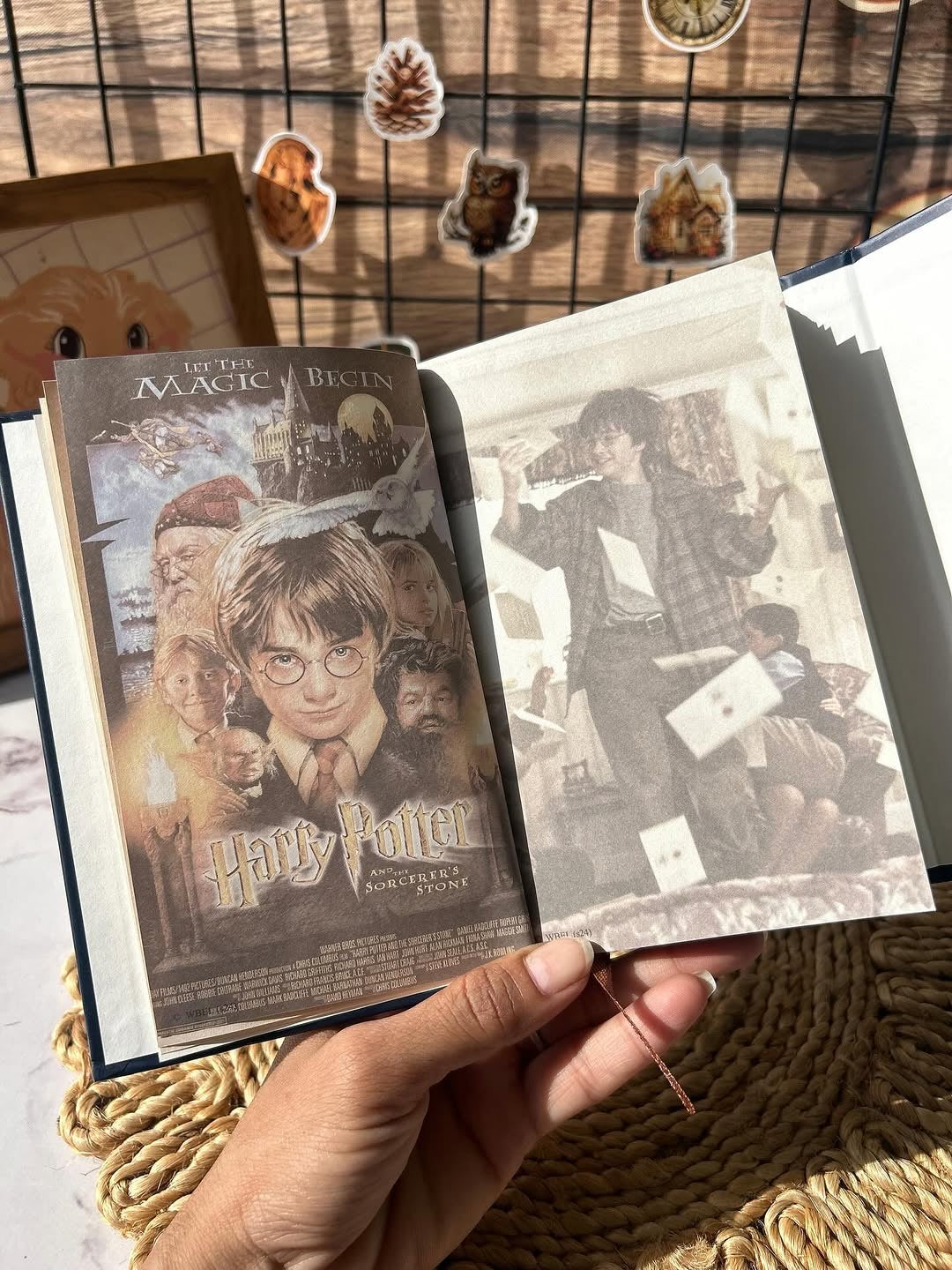 Harry potter diaries
