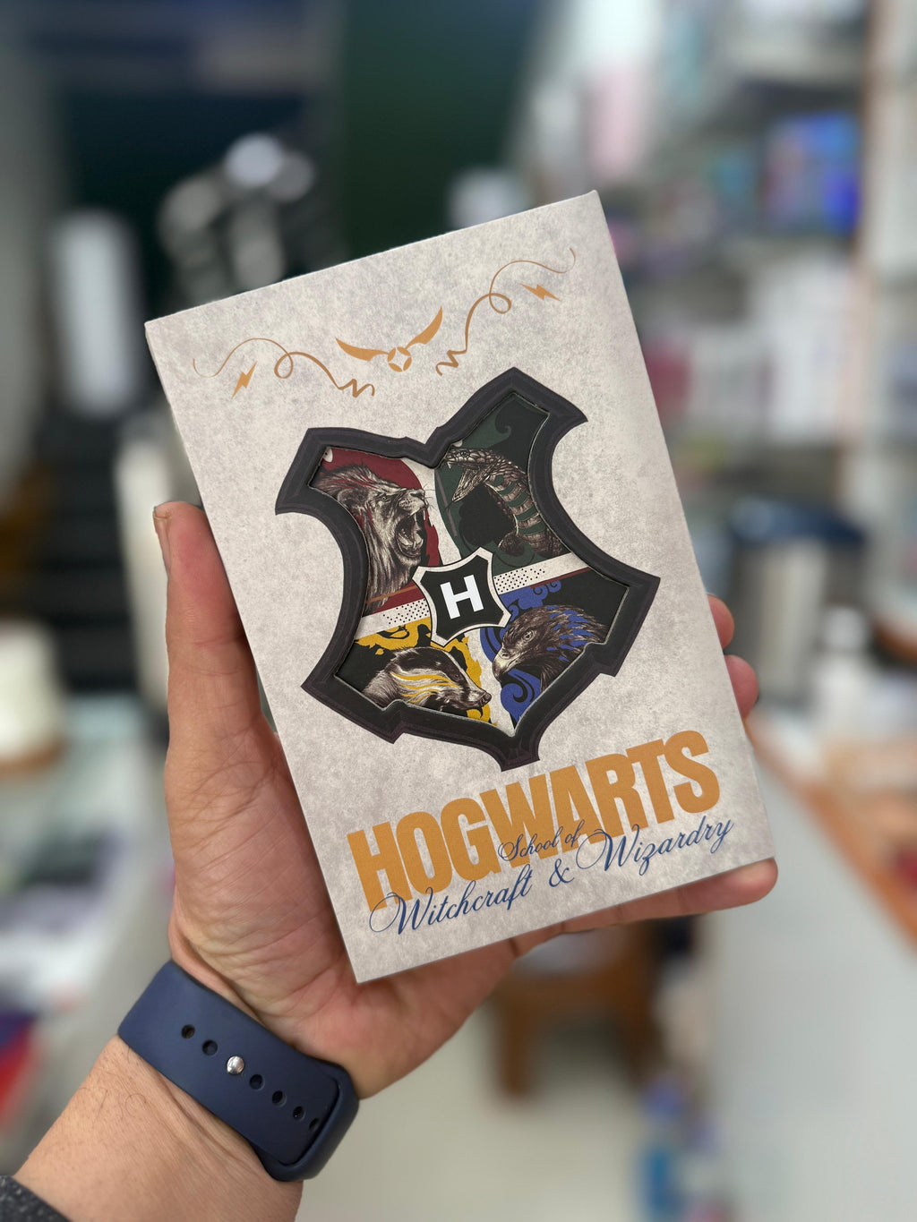 Harry potter diaries