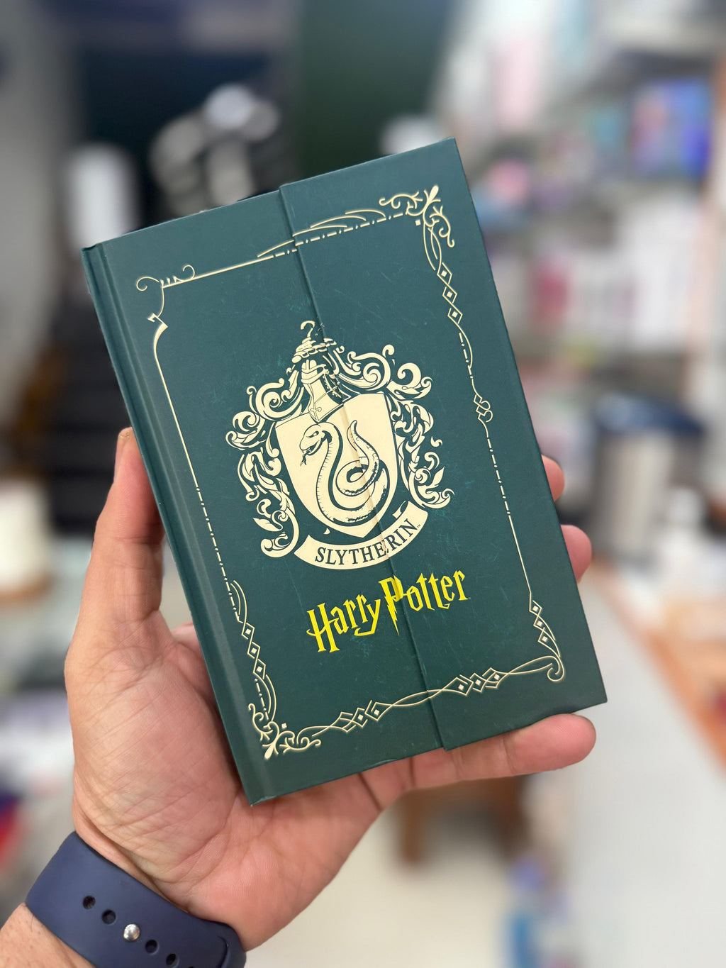 Harry potter diaries