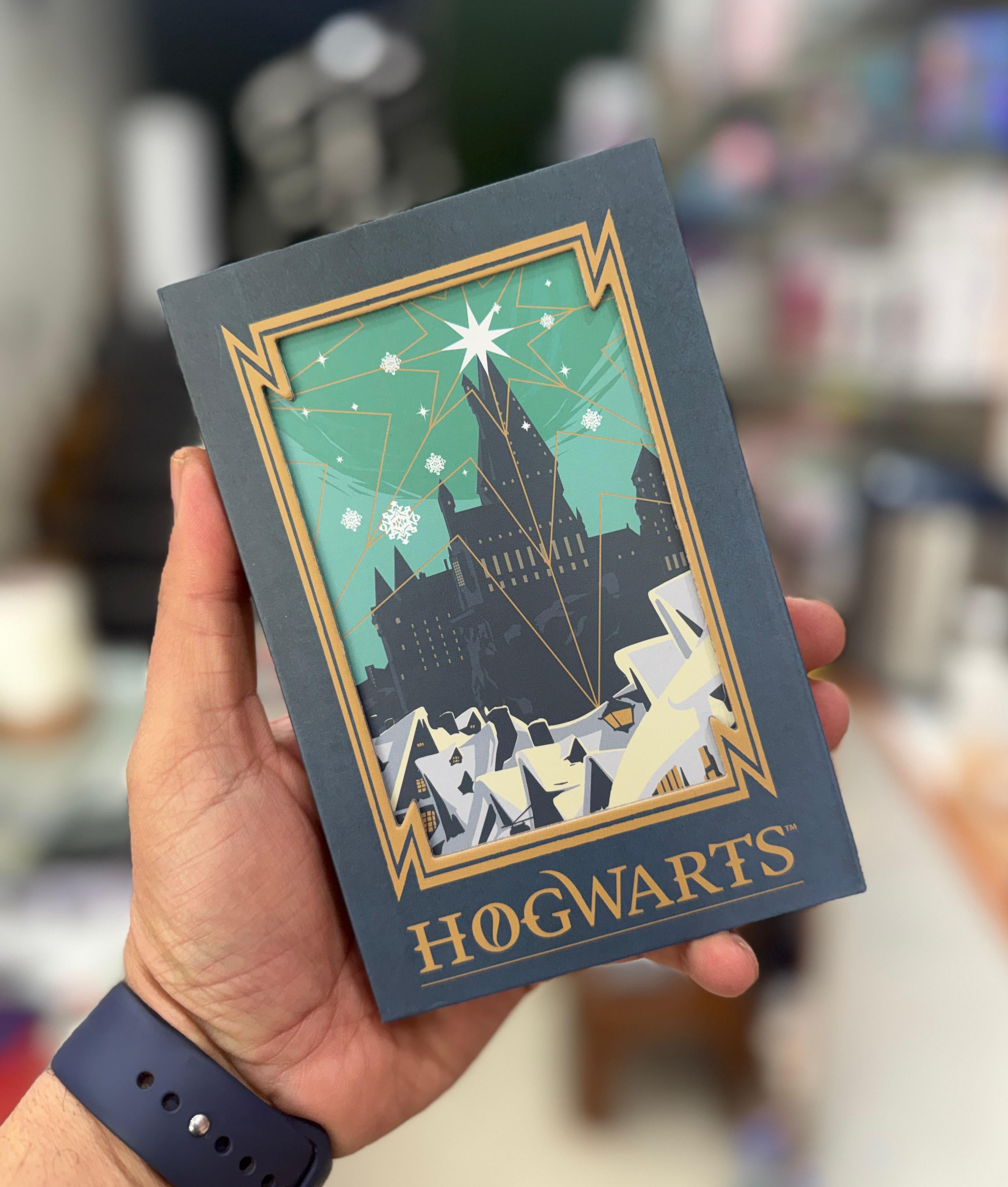 Harry potter diaries
