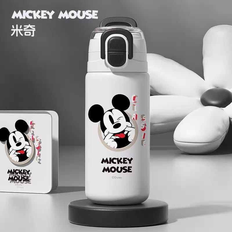 Disney dual mouth steel water bottles